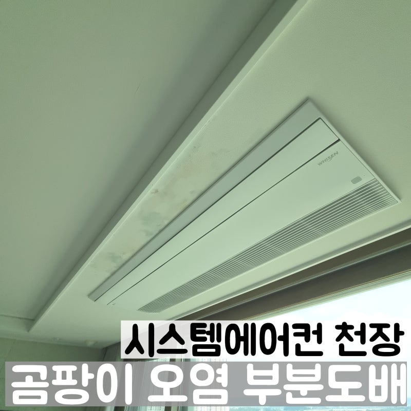 시스템에어컨 천장 곰팡이 오염 제거 부분도배