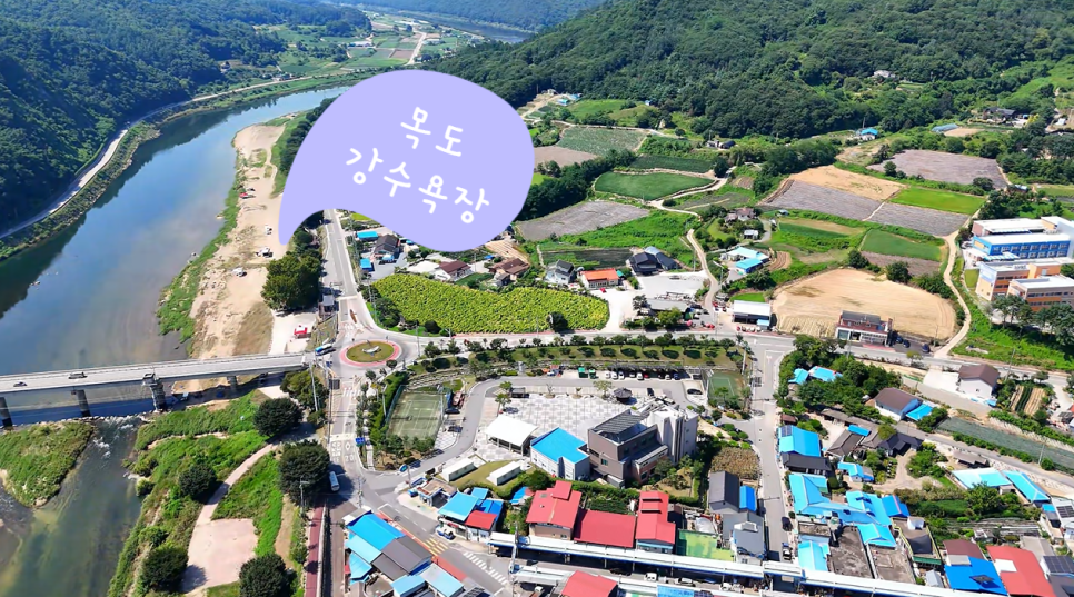 목도강수욕장 사진 1