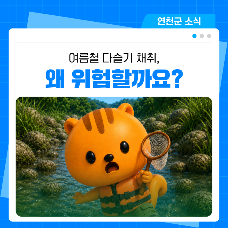 ⚠️ 여름철 다슬기 채취, '이것' 모르면 정말 위험합니다!