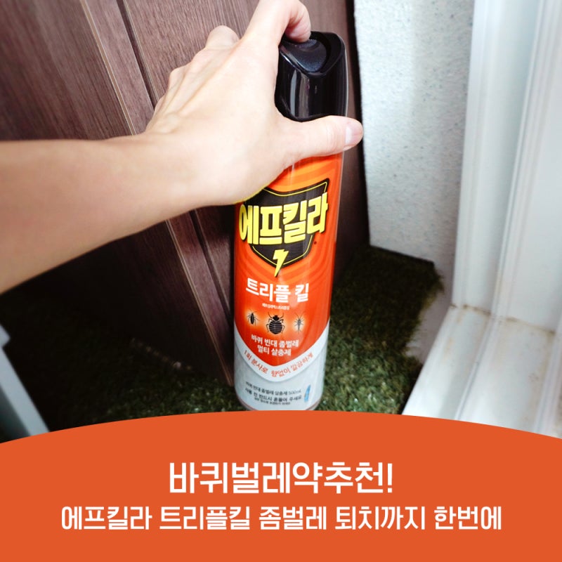 바퀴벌레약추천! 에프킬라 트리플킬 하나면 좀벌레 퇴치까지 한번에