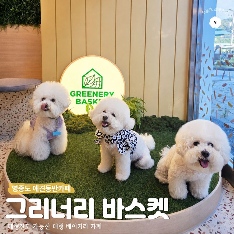 영종도 애견동반 카페 그리너리 바스켓, 베이커리 대형카페