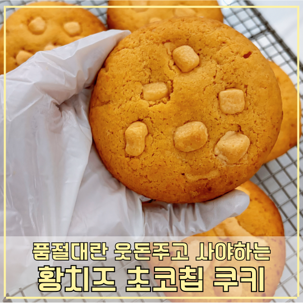 황치즈 초코칩 쿠키 만들기 웃돈주고 사는 촉촉한 황치즈 쿠키 레시피