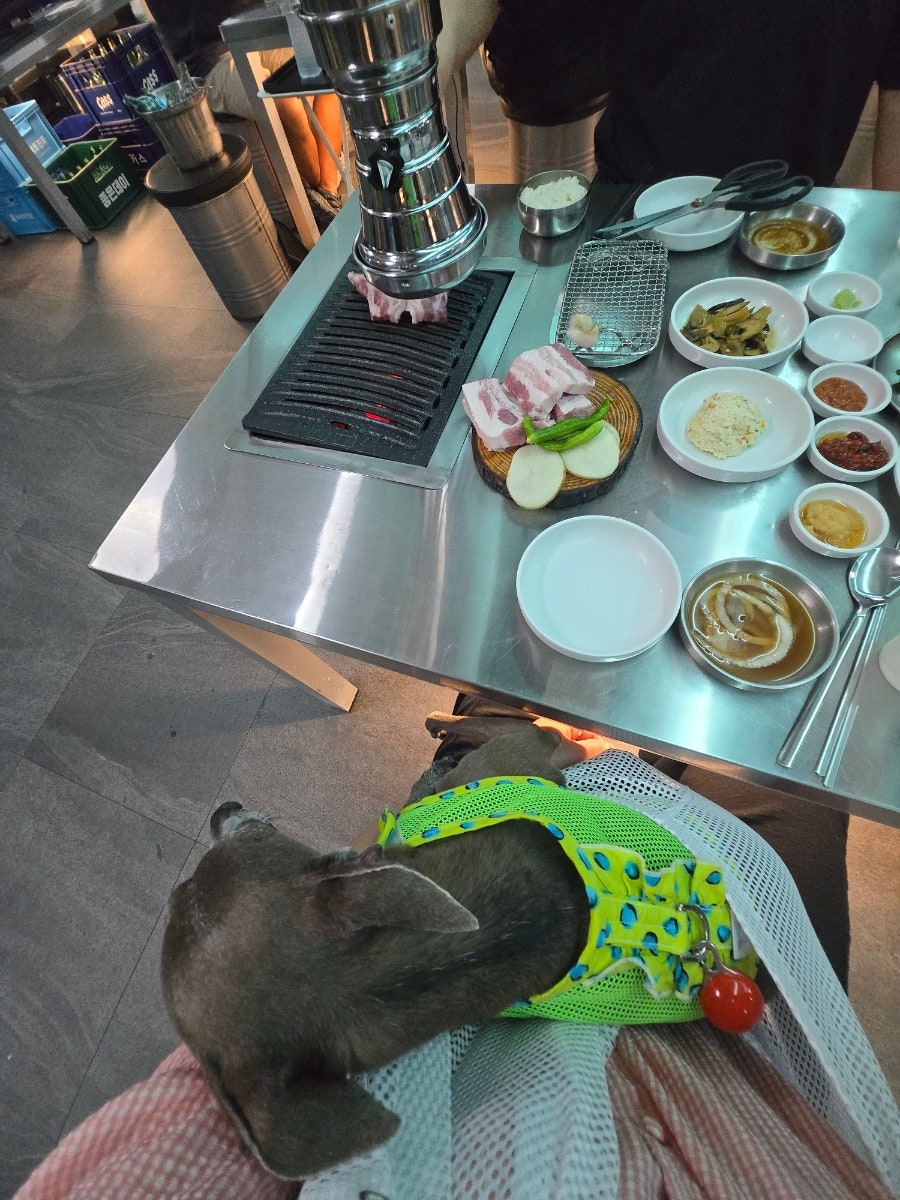 본디 율하점 사진 6