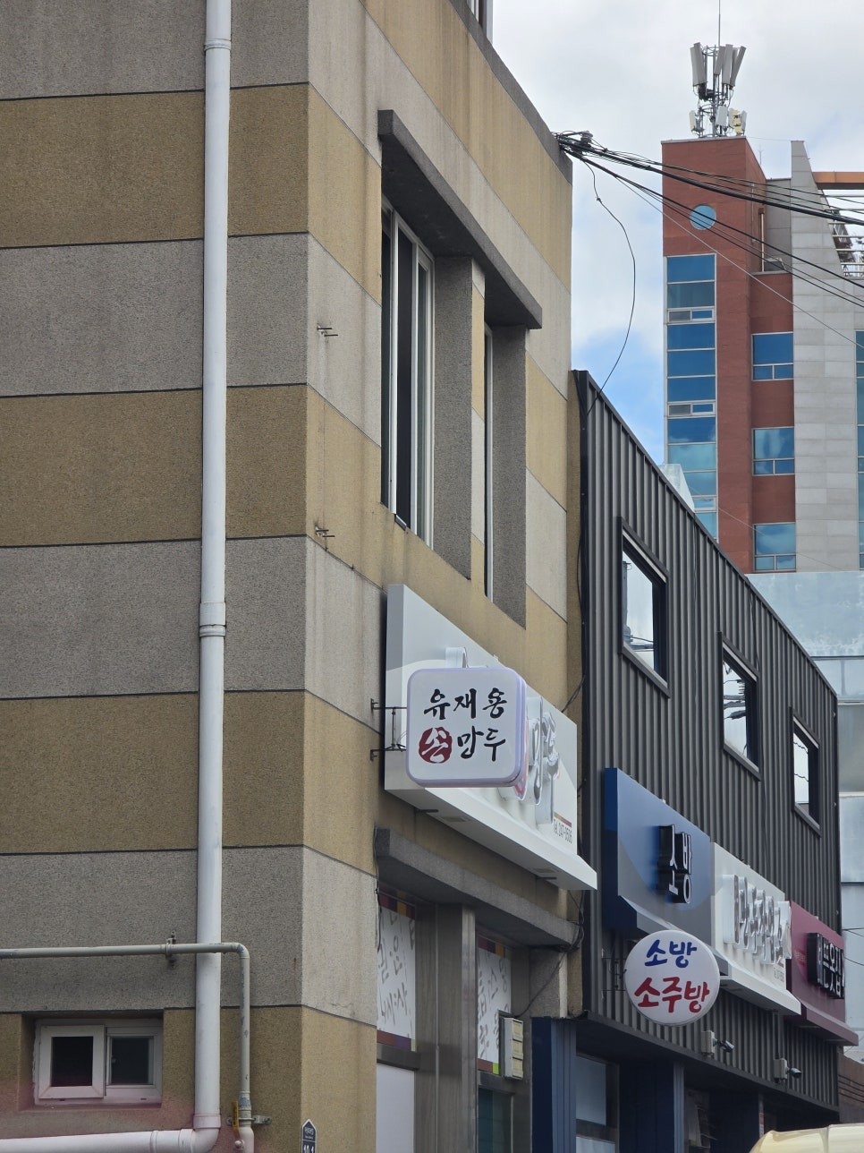 백리향 사진 1