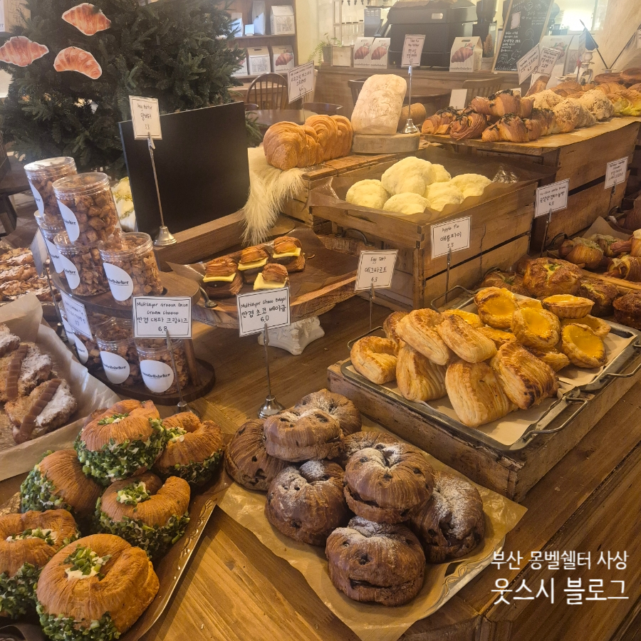 몽벨쉘터 사상점 사진 2