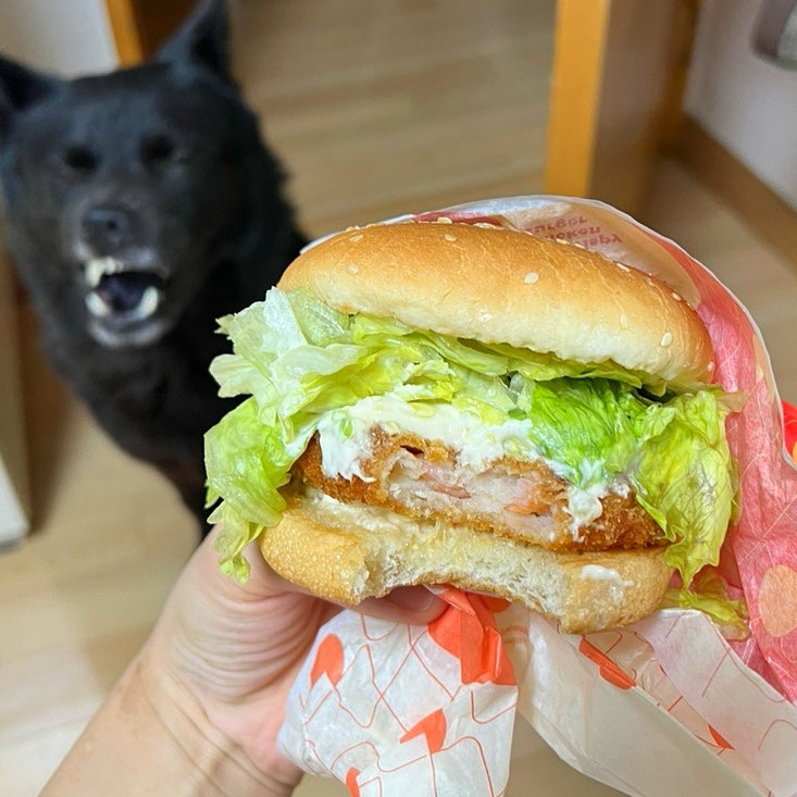 롯데리아 학동역점 사진 1