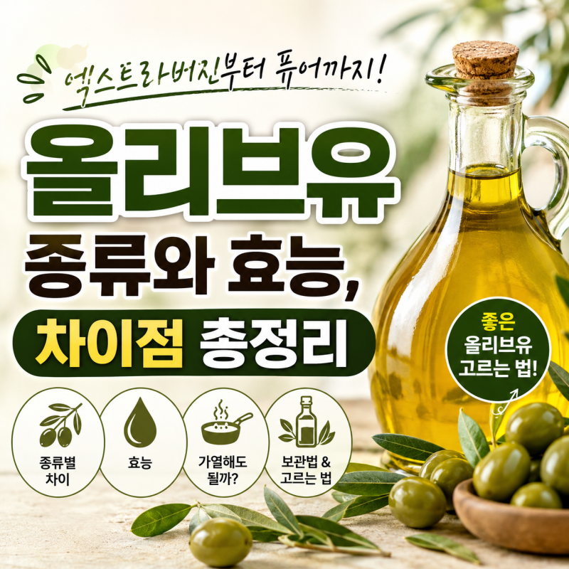 올리브유 종류와 효능, 엑스트라버진부터 퓨어까지 차이점 총정리