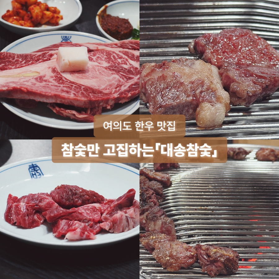 대송참숯 사진 1