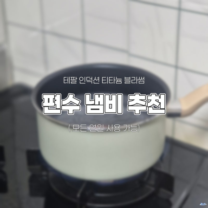 눌러붙지 않는 냄비 추천 인덕션 겸용 테팔 티타늄 편수, 양수냄비