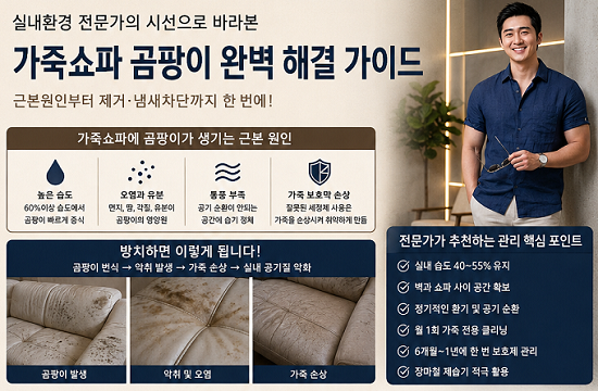 [가죽쇼파 곰팡이 완벽 제거] 비싼 소파, 물티슈로 닦으면 끝장납니다! 실내환경 전문가가 알....