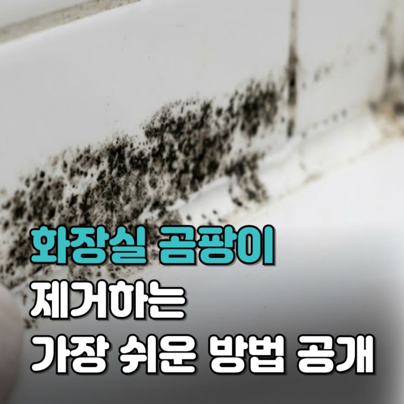 강력한 화장실 실리콘 곰팡이 제거 방법, 가장 쉬운 초간단 치트키 공개!