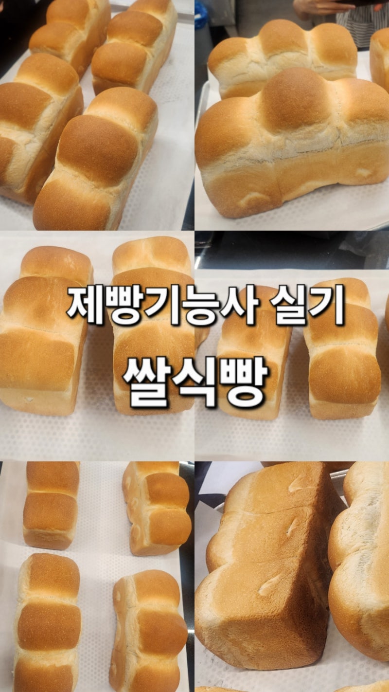제빵기능사 실기 - 17.쌀식빵