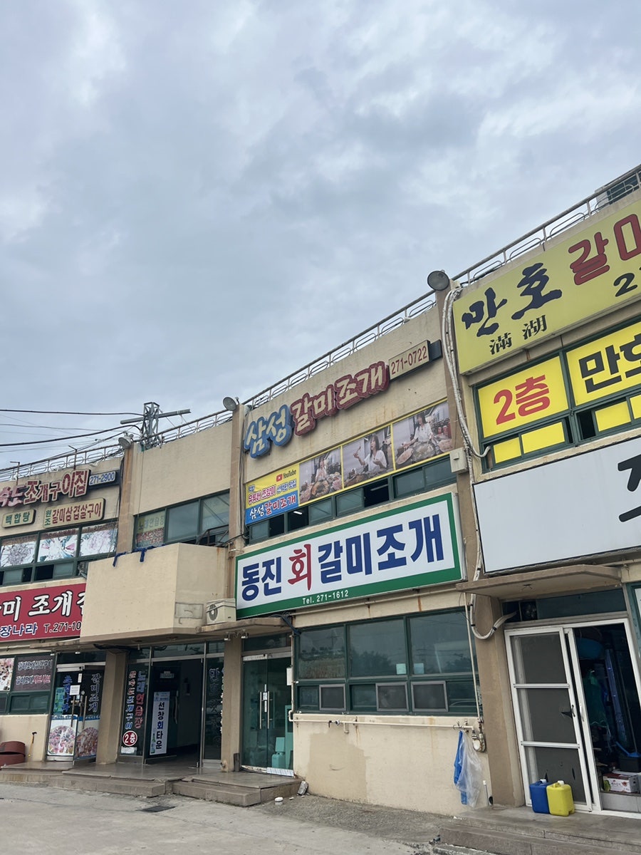삼성갈미조개 사진 2