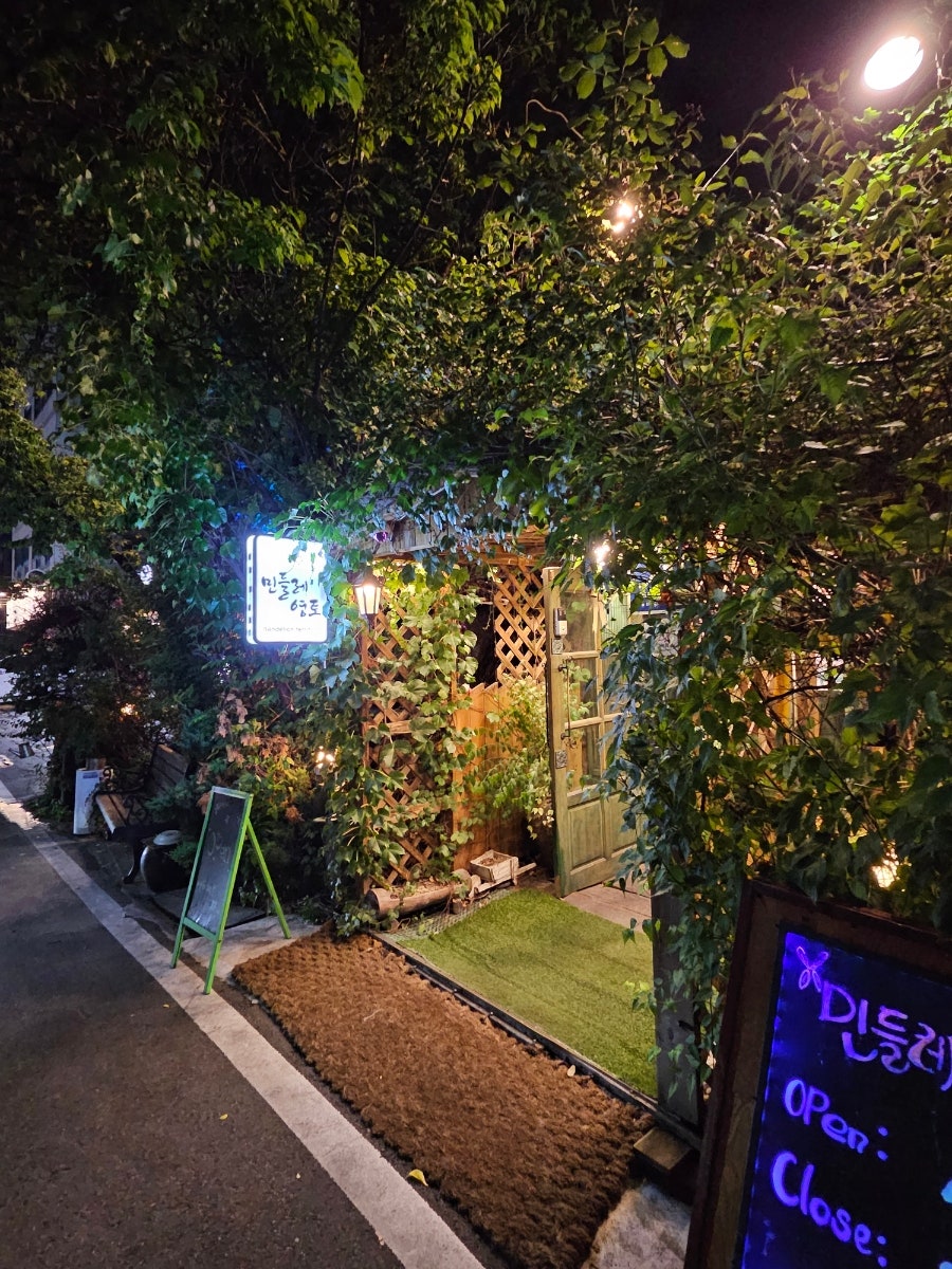 민들레 사진 5