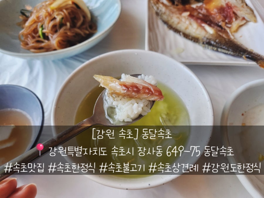 동달 사진 1