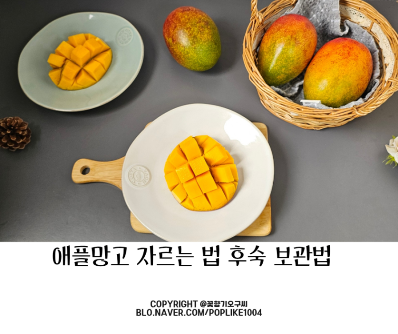 제주애플망고 자르는 법 후숙 보관 법 영파머스