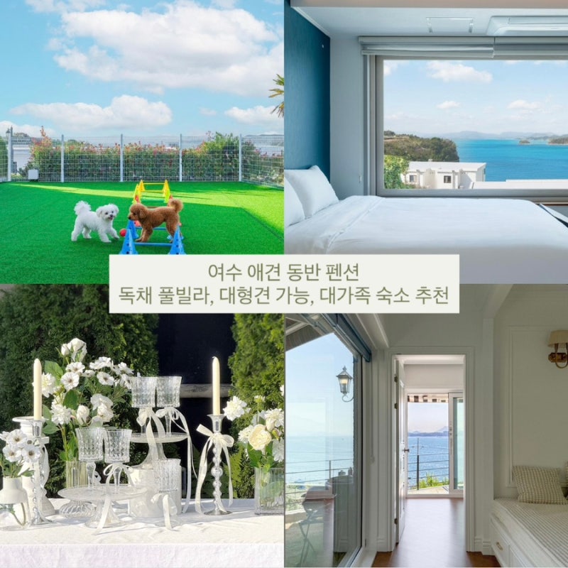 Yeosu Pet-Friendly Pensions: A Collection of Private Pool Villas and Stylish Accommodations