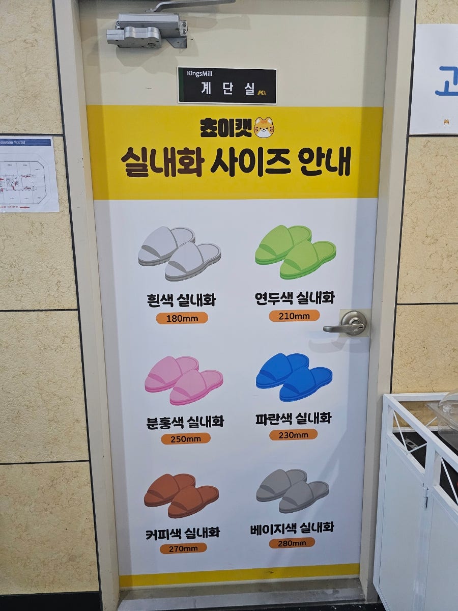 쵸이캣 충북혁신점 사진 3