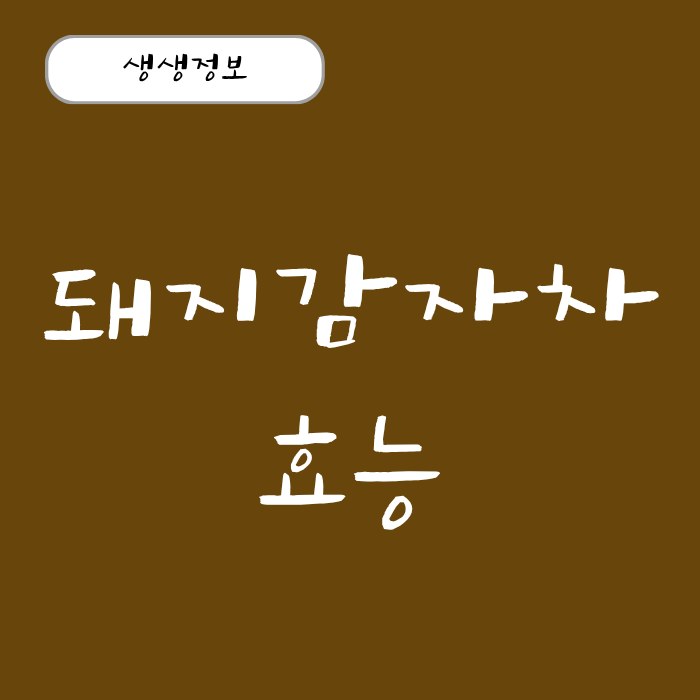 식후 혈당 잠재우는 돼지감자차 효능 돼지감자즙 효능