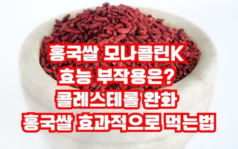 홍국쌀 모나콜린K 효능 부작용은? 콜레스테롤 개선 홍국 효과적으로 먹는법