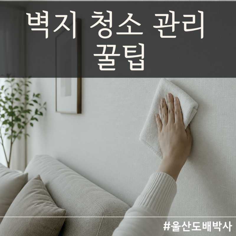실크벽지 청소 아이 낙서 제거 꿀팁 벽지 관리 방법 총정리