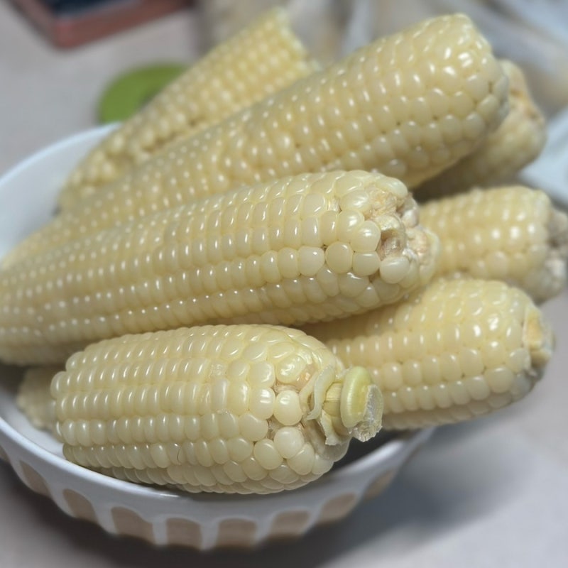찰 옥수수찌기 뉴슈가 추가 삶은 옥수수 만들기 옥수수보관방법 냉동보관 해동방법 여름간....