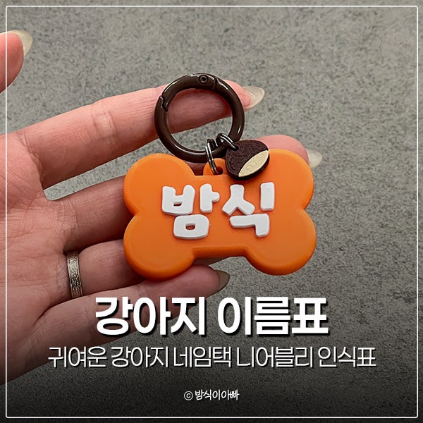 귀여운 뼈다귀 모양 강아지 이름표 네임택 니어블리 강아지 인식표
