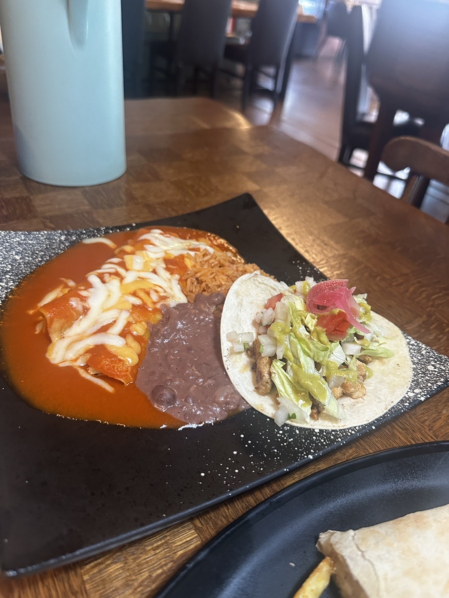라메사 사진 5