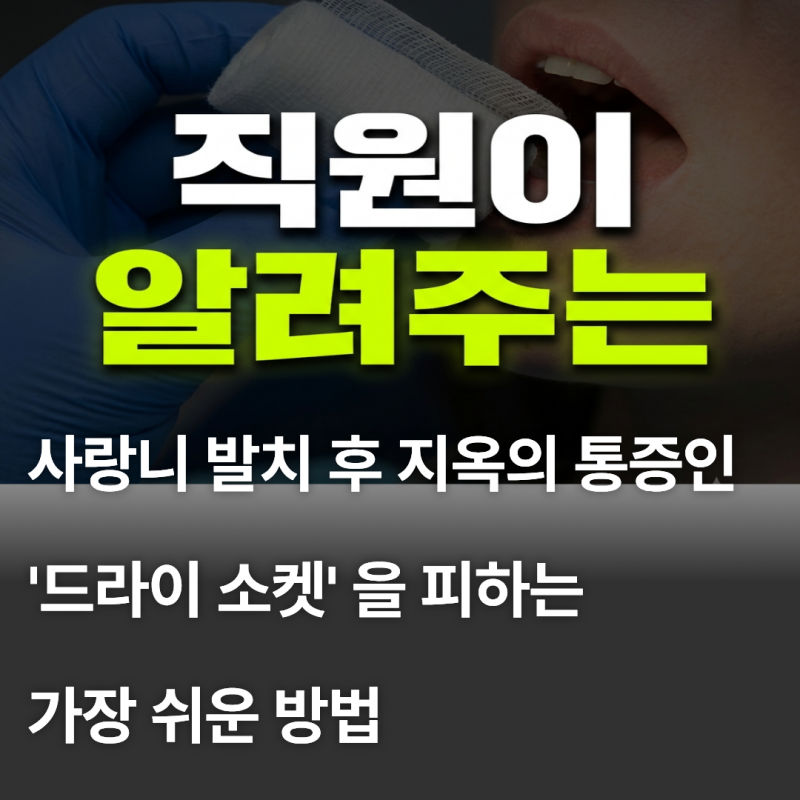 사랑니 발치 후 거즈 시간부터 식사 찜질까지 치과 직원이 알려주는 팁
