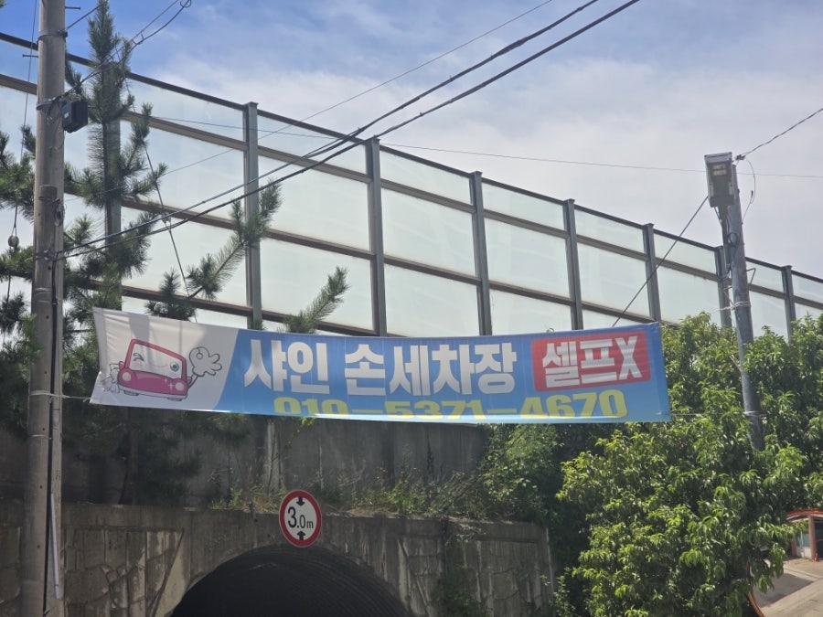 샤인 사진 5