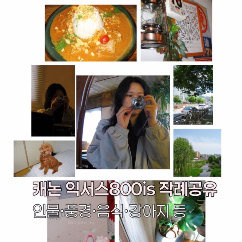 캐논 익서스 ixus 800is 빈티지 디카 작례•사진 예시•색감 공유/ 빈티지 캐논 디카 추천(익시 ....