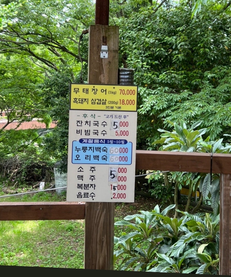 선반내천지연무태장어 사진 5