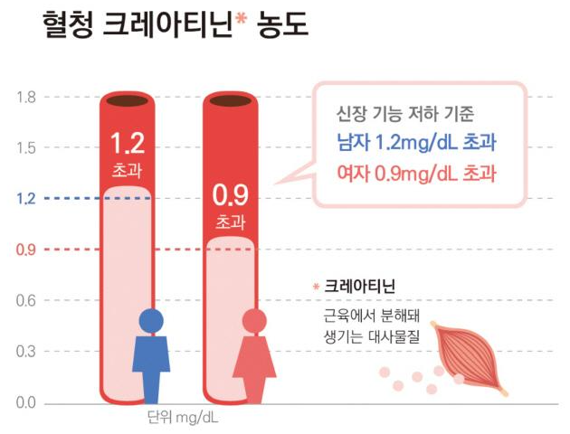 크레아티닌 수치가 높은 이유 낮추는 방법