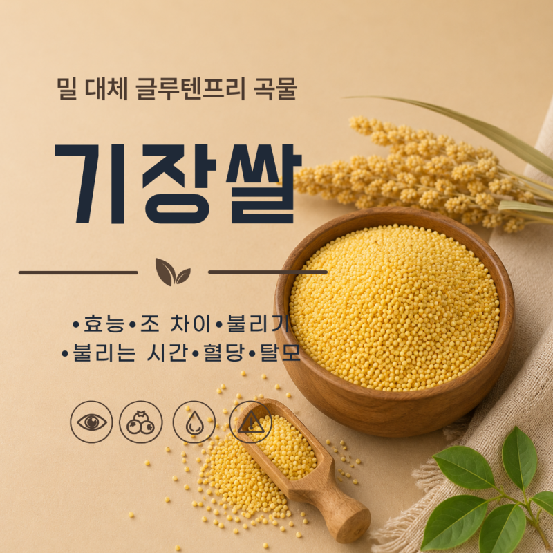 기장쌀 효능 7가지 조차이 불리기 불리는 시간 혈당 탈모