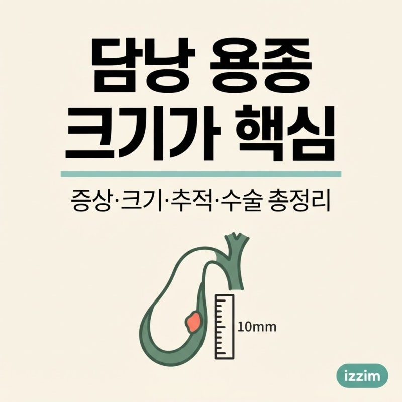 담낭용종 크기 기준부터 증상·추적검사·수술까지 총정리