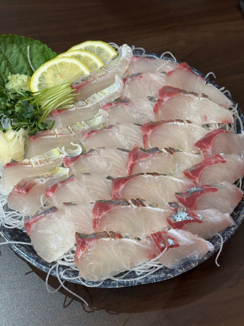 부산 초량 어촌 제철 시마아지 무늬오징어 생새우회 후기