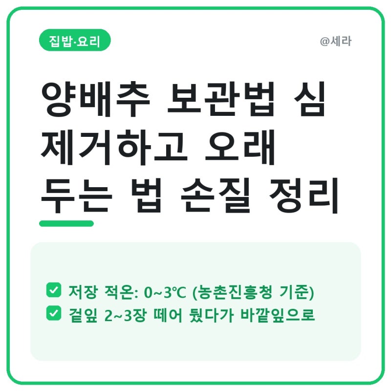 양배추 보관법 심 제거하고 오래 두는 법 손질 정리