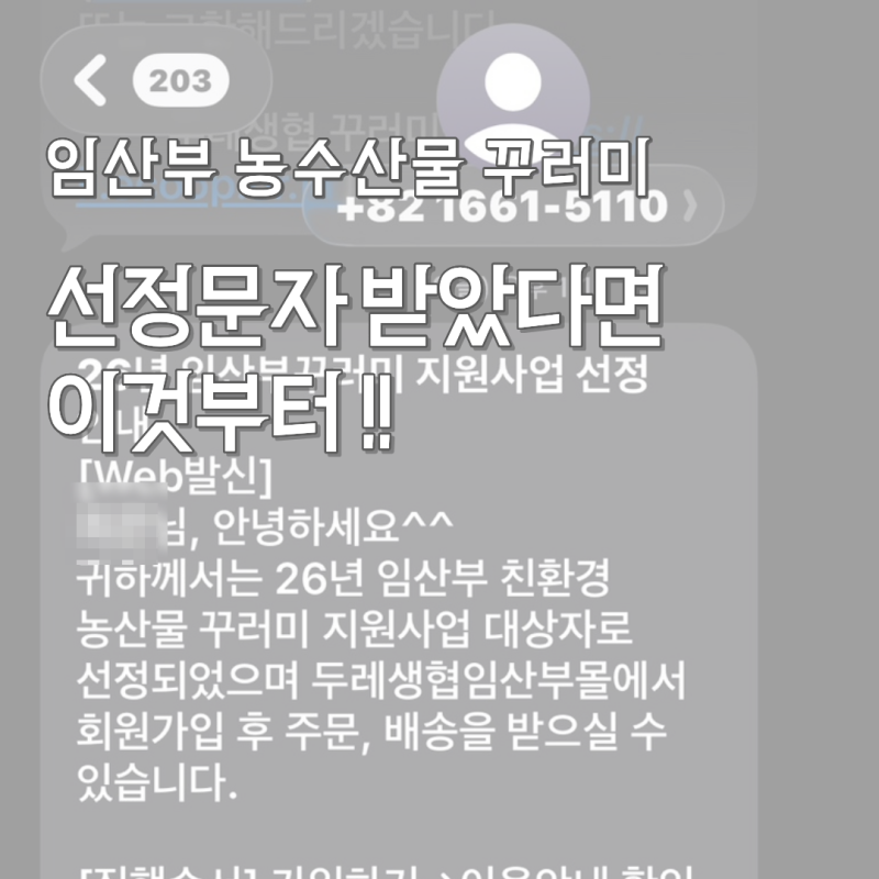 2026년 임산부 친환경 농산물 꾸러미 선정? 후기와 등록 방법