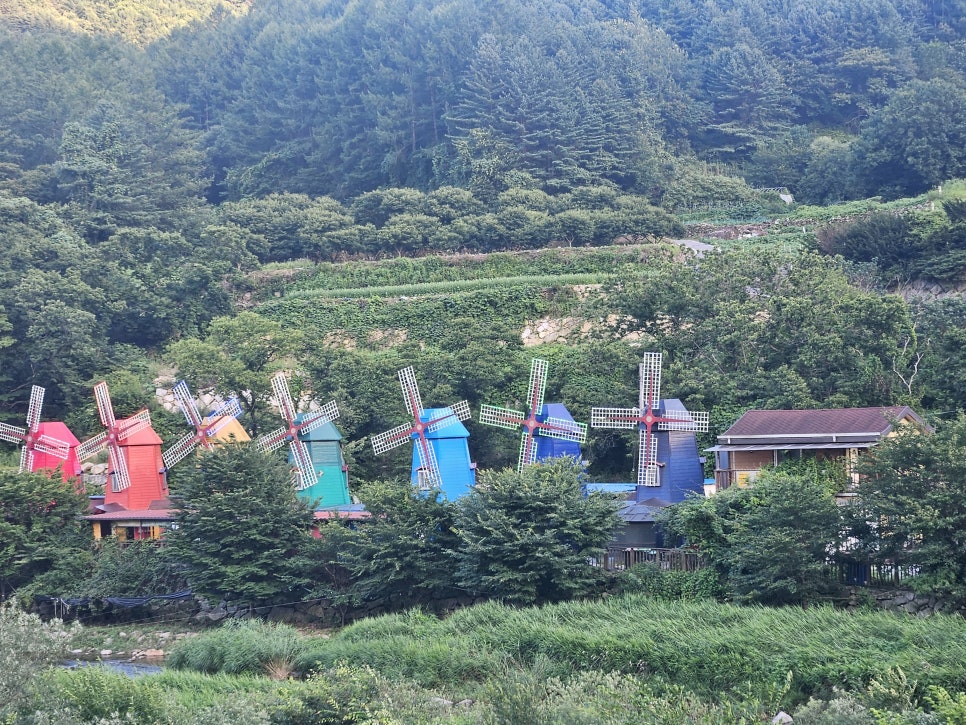 스테인로 사진 1