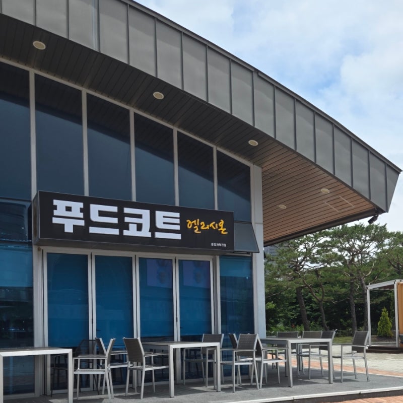 대전 국립중앙과학관 푸드코트 엘리시온 만족하며 흡입한 아이가 잘먹은 메뉴 추천