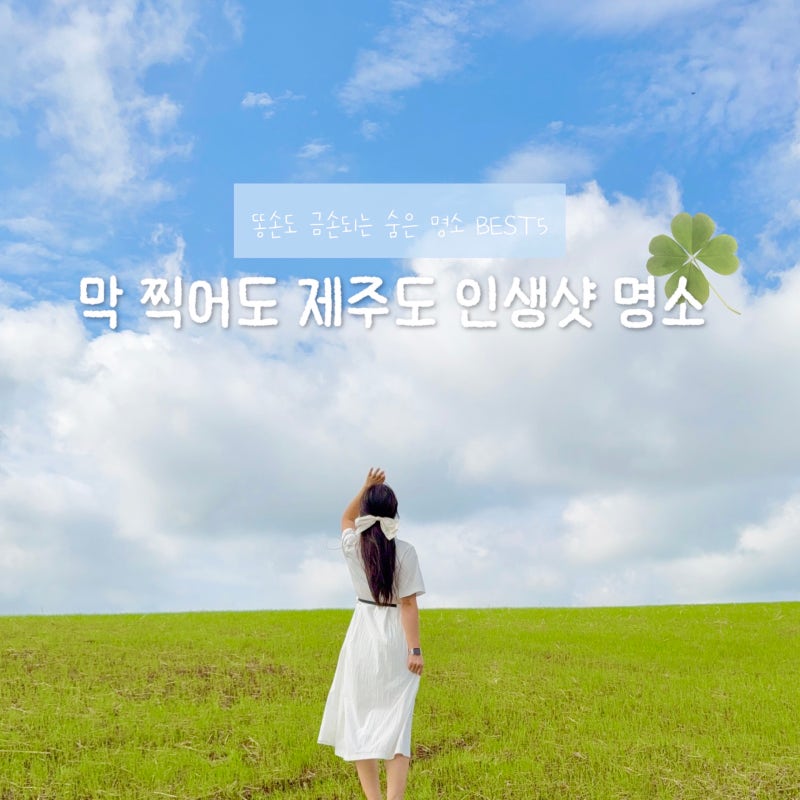 막 찍어도 화보! 제주도 여행 숨은 인생샷 명소 여행지 추천 TOP5