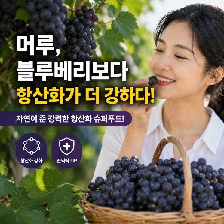 머루 효능, 블루베리보다 항산화가 강하다고요? 직접 찾아보고 나서 생각이 달라졌어요