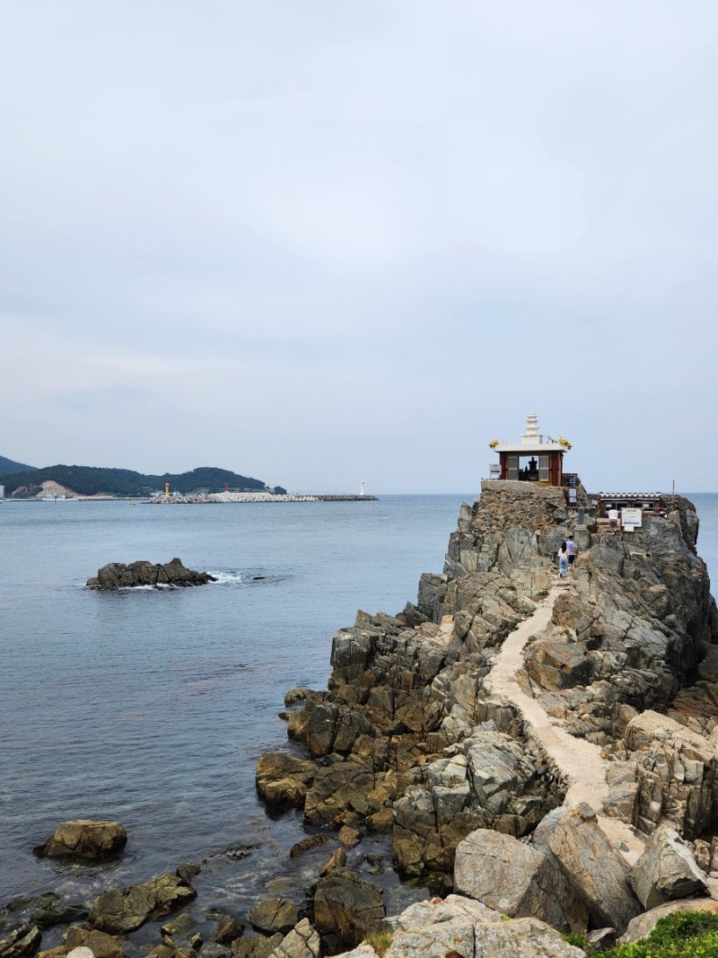 부산 사람들도 잘 모르는 기장 숨은 여행지 바다 앞 수국 사찰 해광사 용왕단