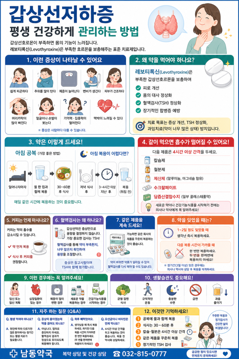 갑상선약 공복에 먹는 이유? 커피·칼슘·철분까지! 약사가 알려주는 갑상선저하증 복약 가이....