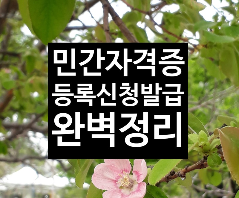민간자격증 등록 발급, 절차부터 비용까지, 완벽정리!
