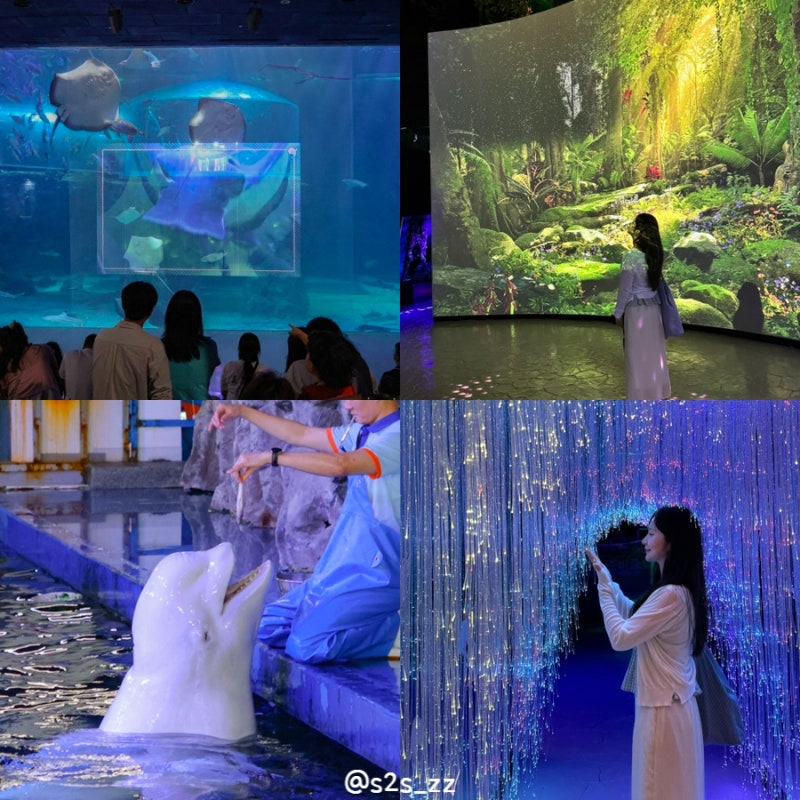 여름 국내여행 여수 여행코스 꿀팁 아쿠아플라넷 실내데이트