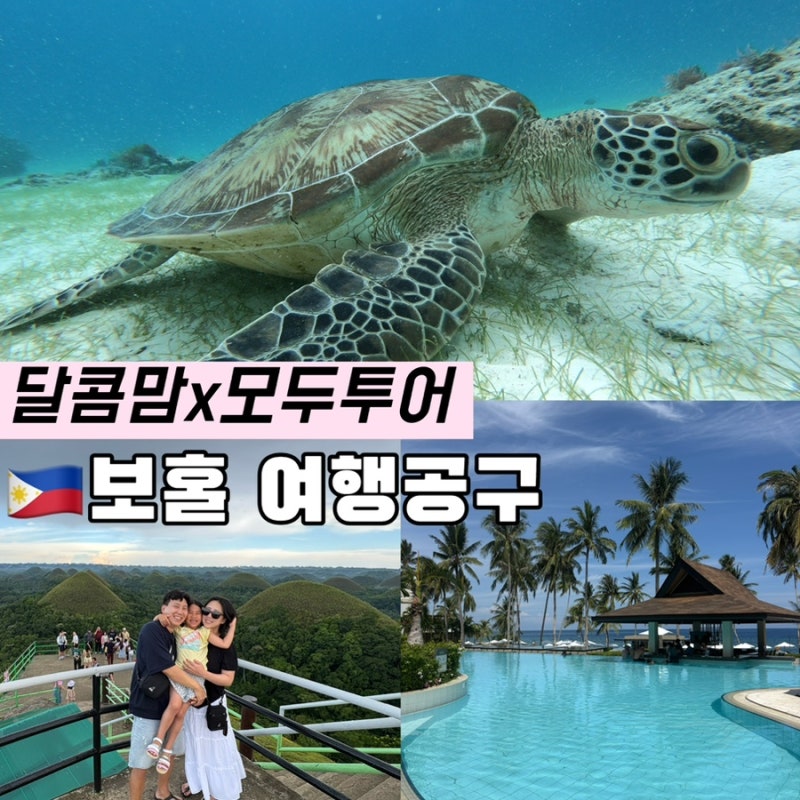 모두투어x달콤맘 보홀 여행 공구
