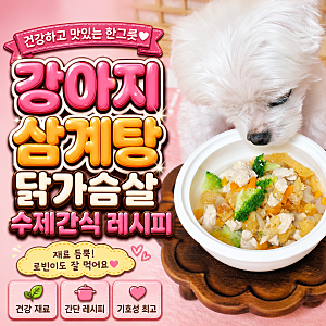 강아지 삼계탕, 닭가슴살 수제간식 만들기 레시피