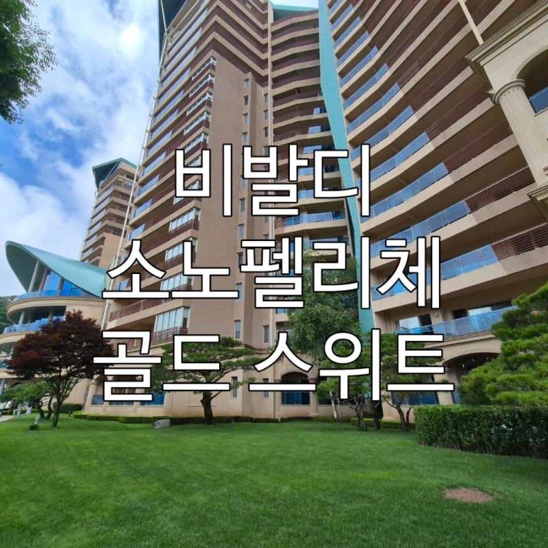홍천 비발디 소노펠리체 골드 스위트 객실 가족 여행 숙박, 탁 트인 자연 뷰와 넓은 거실이 ....