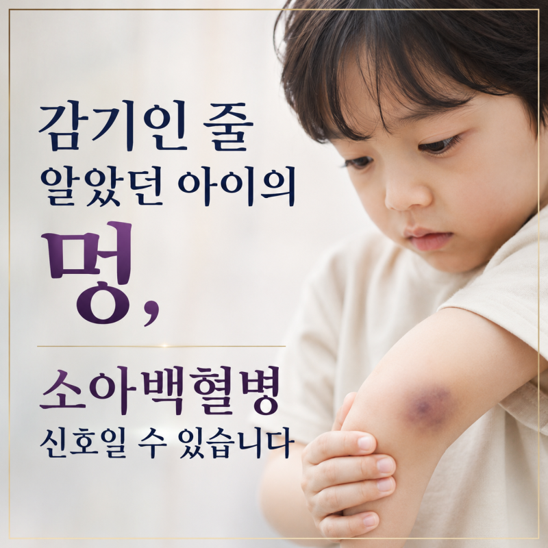 소아백혈병증상 '이 멍' 3가지가 겹치면 감기약 대신 병원부터 가세요